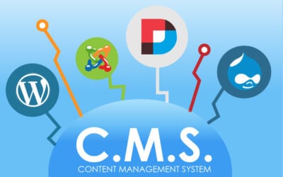 Everything You Need to Know About CMS