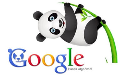 Everything You Need to Know About Google Panda