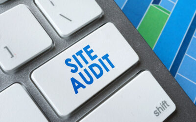 Why You Need an SEO Site Audit in Ottawa