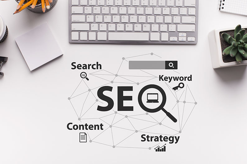SEO Specialist in Ottawa