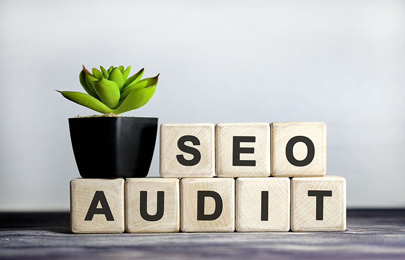 Here’s a Few SEO Site Audit in Ottawa Must Have’s